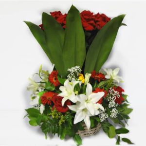Bouquet in a basket with 24 Roses, 4 Whites Lilies, 10 Gerberas Daisies, Tilips, Baby Breath, Lemon Leaves.