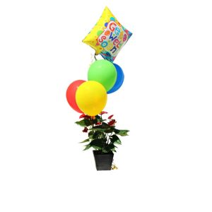 Green plant in a black pot with red flowers four multicolor balloons and a Get Well Soon balloon