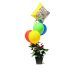 Green plant in a black pot with red flowers four multicolor balloons and a Get Well Soon balloon