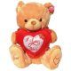 Light Brown teddy bear with a heart that said I Love You