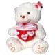 White teddy bear with a heart that said love love