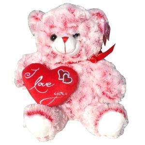 Red and white teddy bear with a heart that said I Love You