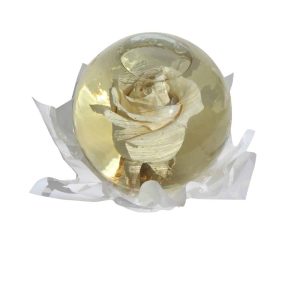 White rose inside a spheric bubble of glass filled out with water