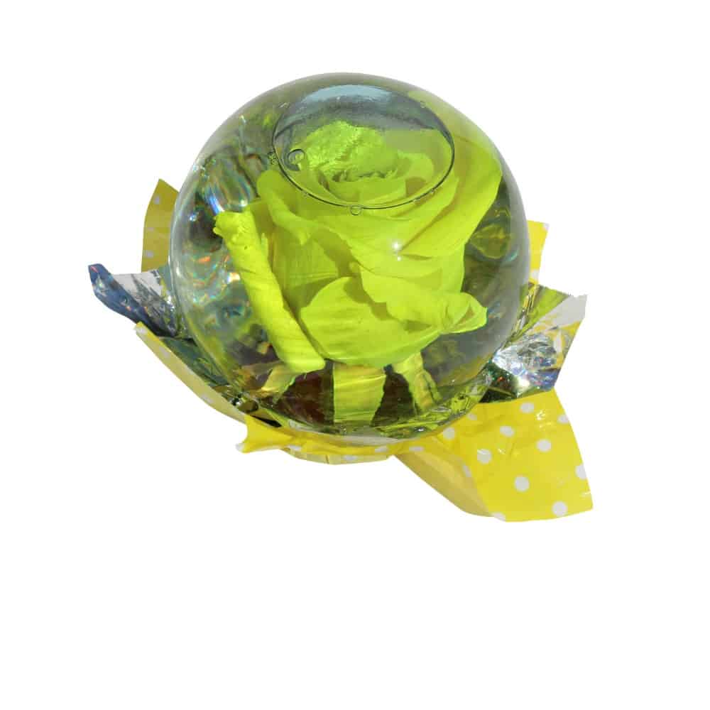 Yellow rose inside a spheric bubble of glass filled out with water