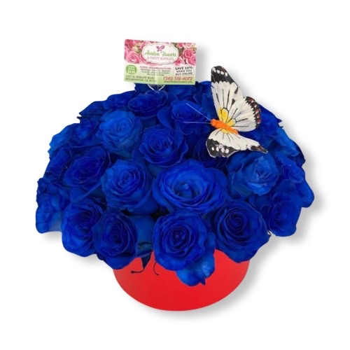 Blue Roses in a box